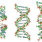 DNA Image