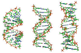 DNA Image