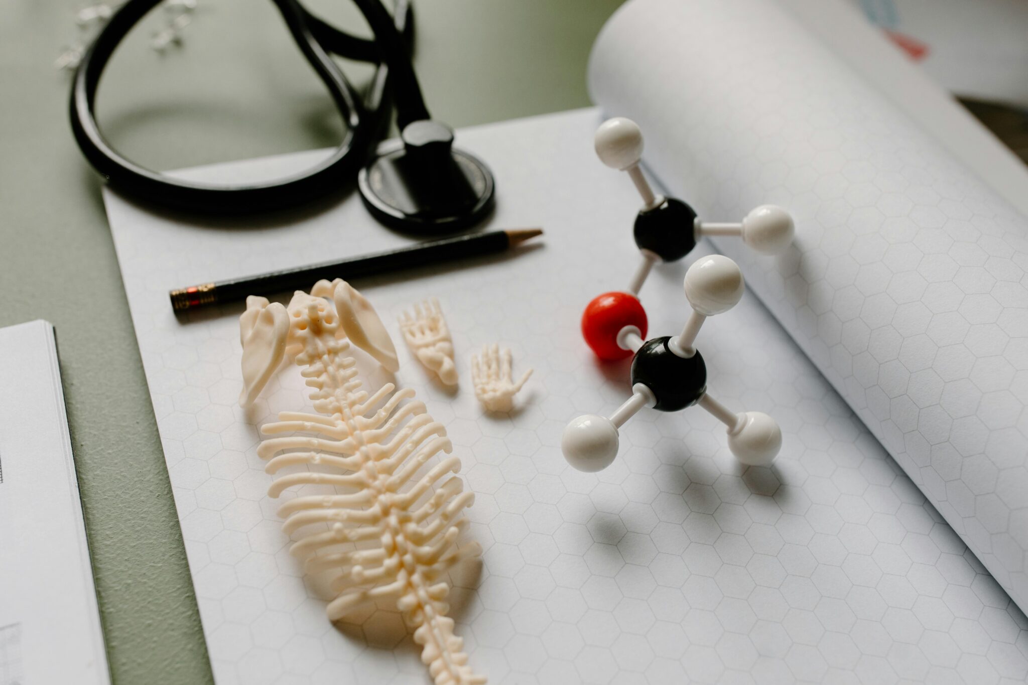 Gene Inactivation on Human Disease :Therapeutic Implications - Life ...