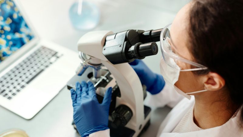 Life sciences digital transformation with AI-ready research ecosystems integrating data, analytics, and cloud technologies
